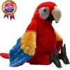 Wild Republic Artist Collection - Scarlet Macaw Discount