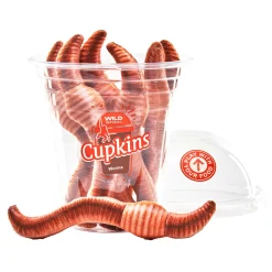 Wild Republic Cupkins Worms Fashion