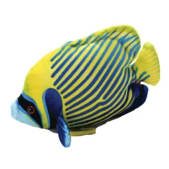 Wild Republic Emperor Angelfish Stuffed Animal - 6" Best