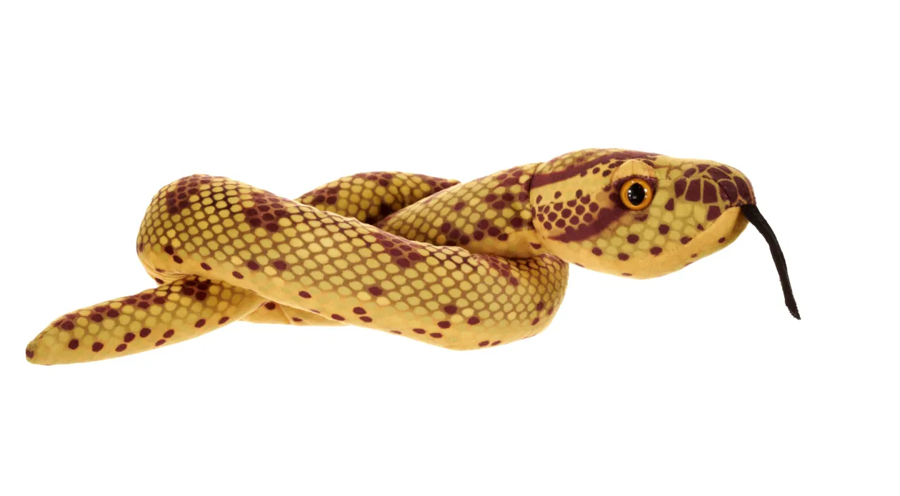 Wild Republic Green Snakes Anaconda Stuffed Animal - 36" Shop