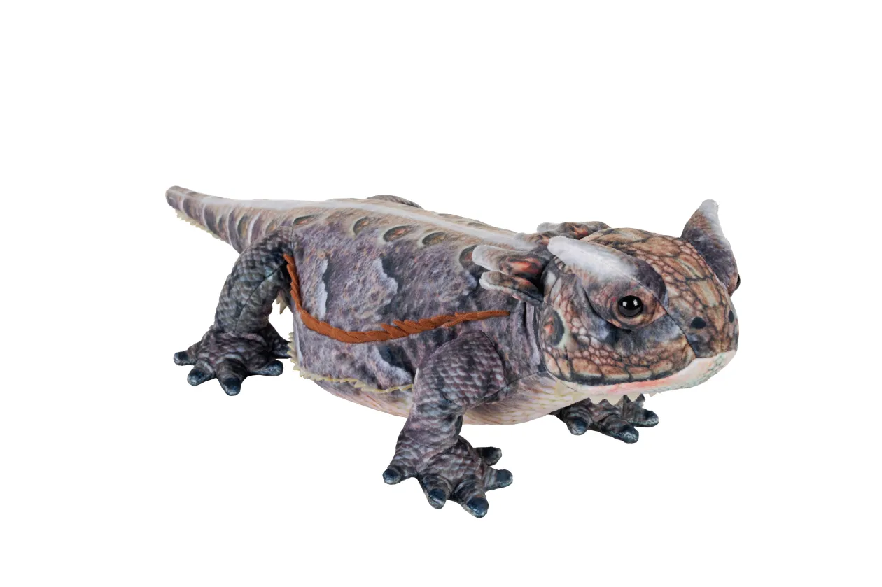 Wild Republic Living Earth Horned Lizard Stuffed Animal - 20" Shop