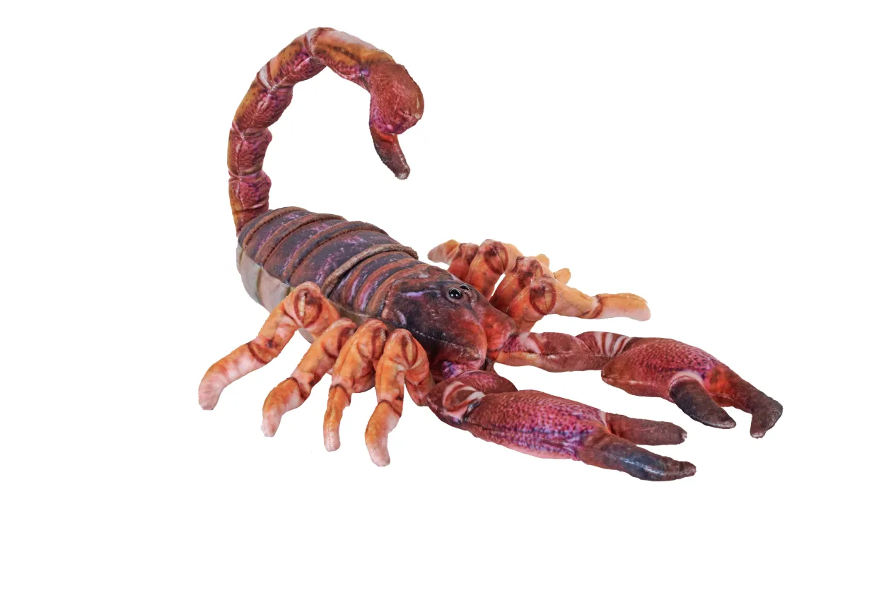 Wild Republic Living Earth Scorpion Stuffed Animal - 25" Best