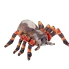 Wild Republic Living Earth Tarantula Stuffed Animal - 12" Shop