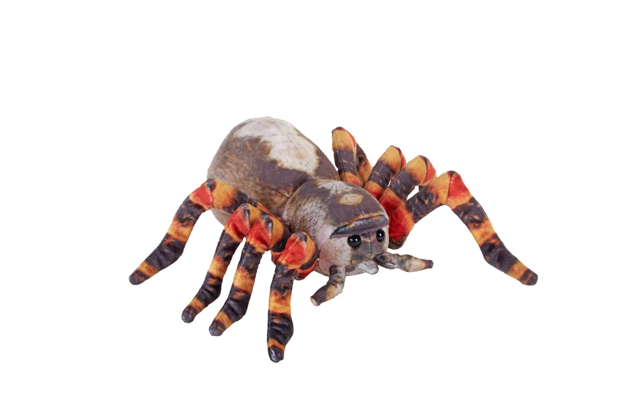 Wild Republic Living Earth Tarantula Stuffed Animal - 12" Shop