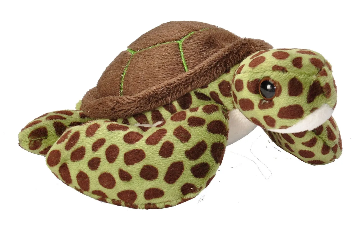 Wild Republic Pocketkins Eco Green Sea Turtle Stuffed Animal - 5" Store