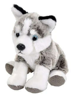Wild Republic Pocketkins Eco Husky Stuffed Animal - 5" Store