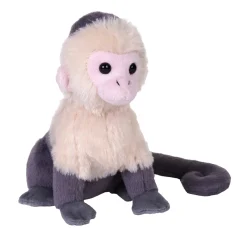 Wild Republic Rainforest Splendors White Faced Capuchin Stuffed Animal - 6" Store
